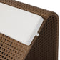 Paige Outdoor Woven Chaise - Natural Woven