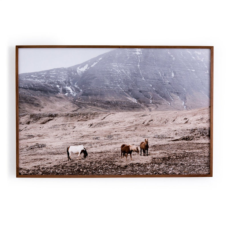Wild Horses - Walnut 1.5