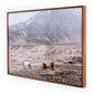 Wild Horses - Walnut 1.5