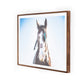 War Horse - Walnut 2.5