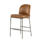 Astrud Bar + Counter Stool - Sierra Butterscotch