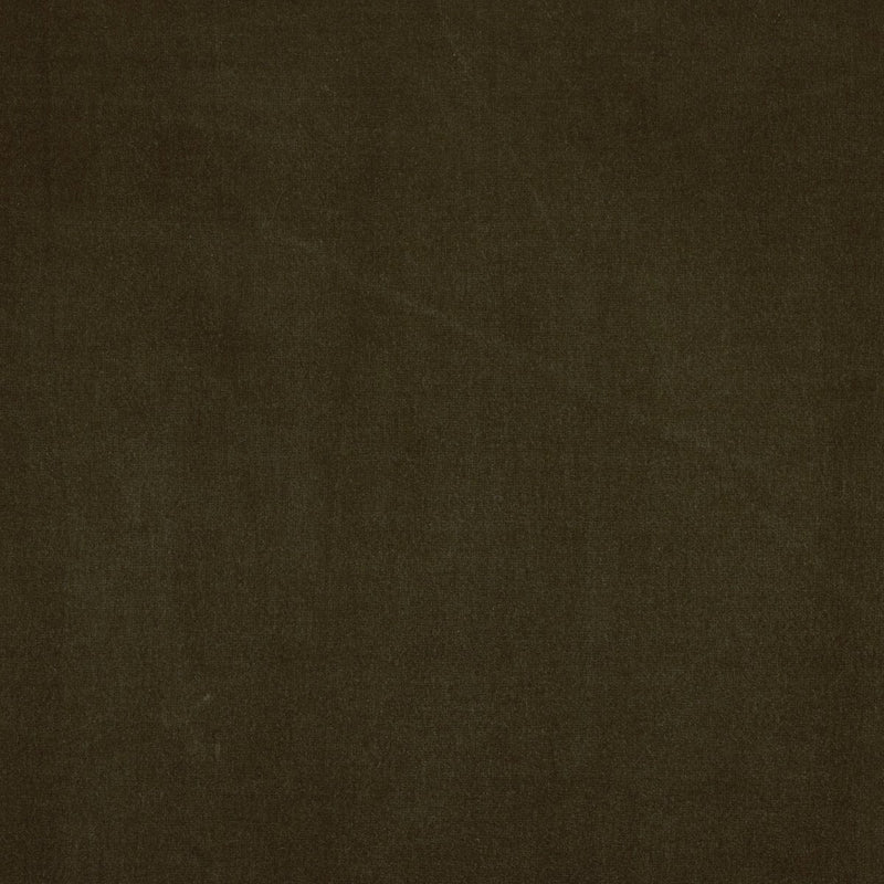 Potter Bed - Surrey Olive