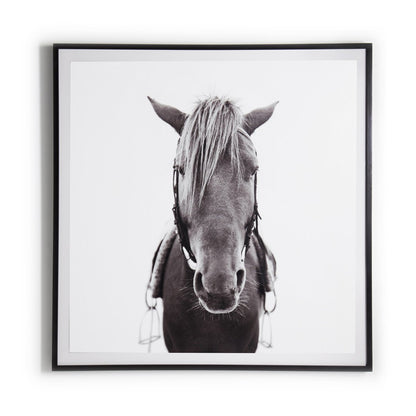 Horse - Black Maple
