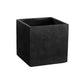 Tansy Planter