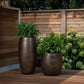 Aster Planter - Tall