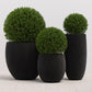 Coleus Planter - Small - Round