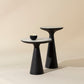 Chizu Nesting End Tables (Set Of 2)