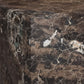 Laros End Table