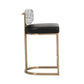 Larissa Counter & Bar Stool