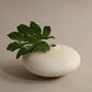 Eryne Vase