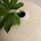 Eryne Vase