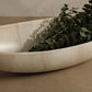 Ark Bowl