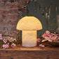 Bonnie Alabaster Mini Lamp - Natural Stone