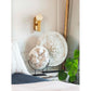 Dion Sconce - Natural Brass