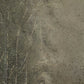 Lipton Canvas Art
