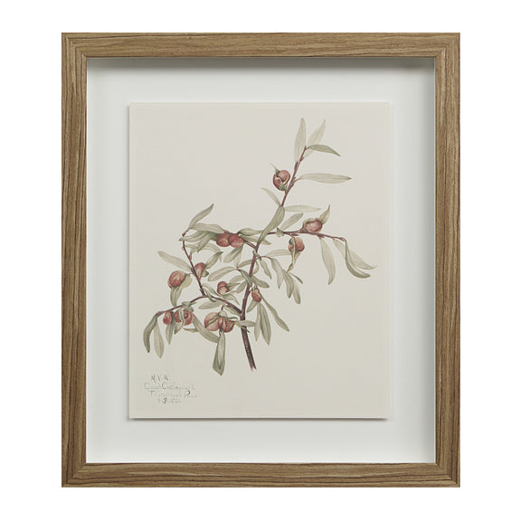 Crema Wall Decor