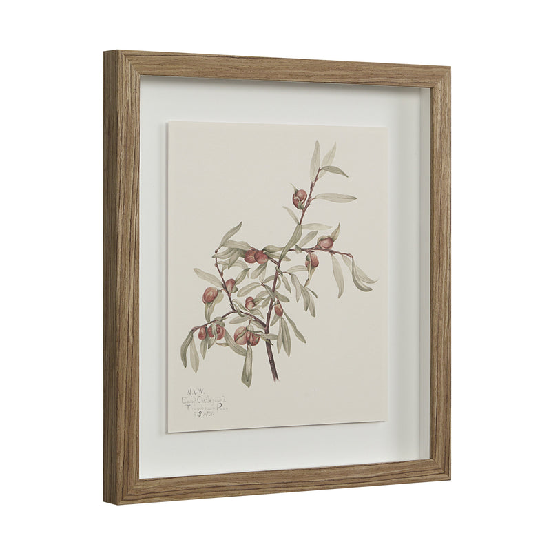 Crema Wall Decor