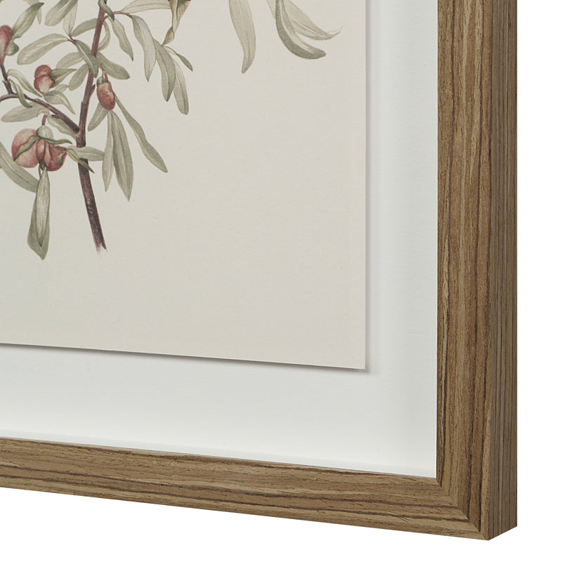 Crema Wall Decor