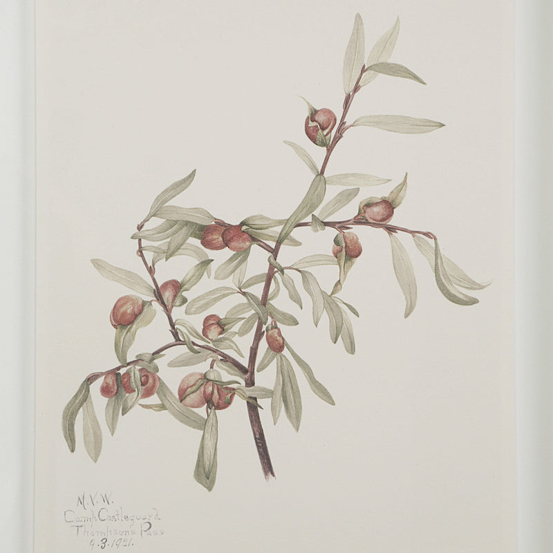 Crema Wall Decor