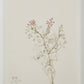 Crema Wall Decor
