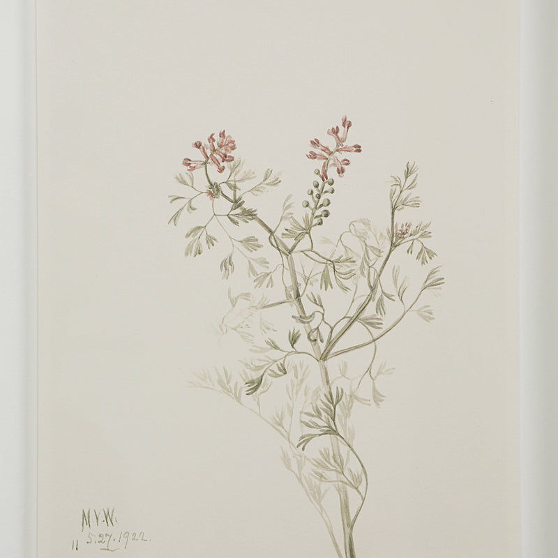 Crema Wall Decor