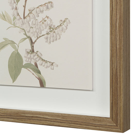 Crema Wall Decor