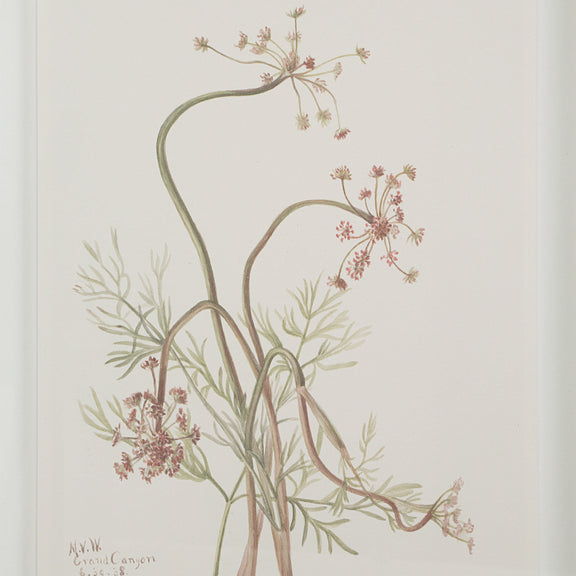 Crema Wall Decor