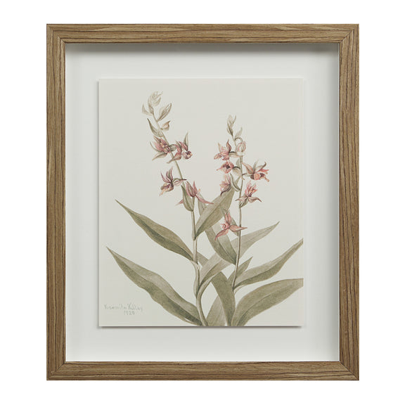Crema Wall Decor