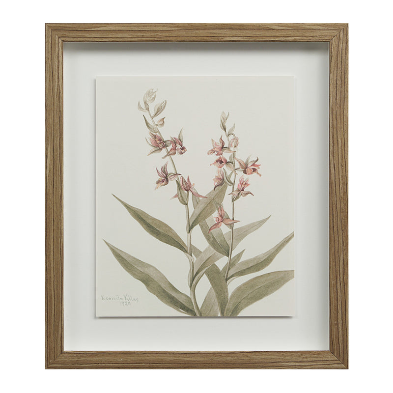 Crema Wall Decor