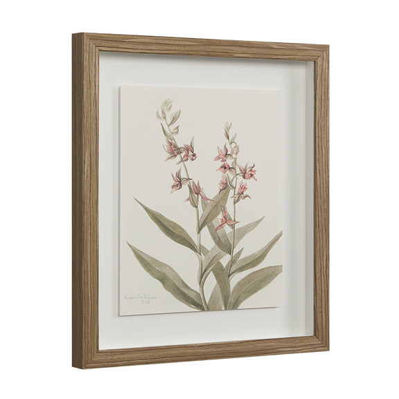 Crema Wall Decor
