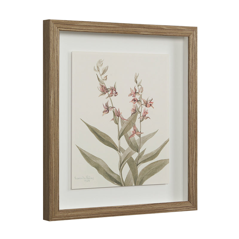 Crema Wall Decor