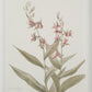 Crema Wall Decor