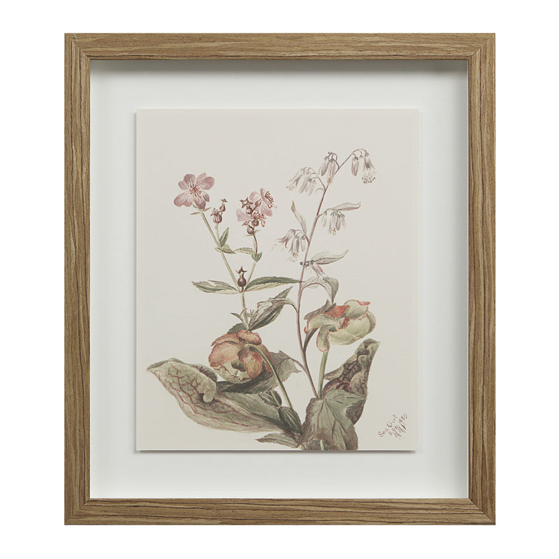 Crema Wall Decor