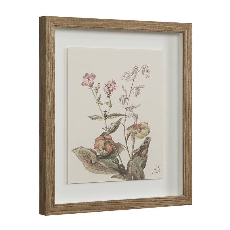 Crema Wall Decor