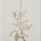 Crema Wall Decor