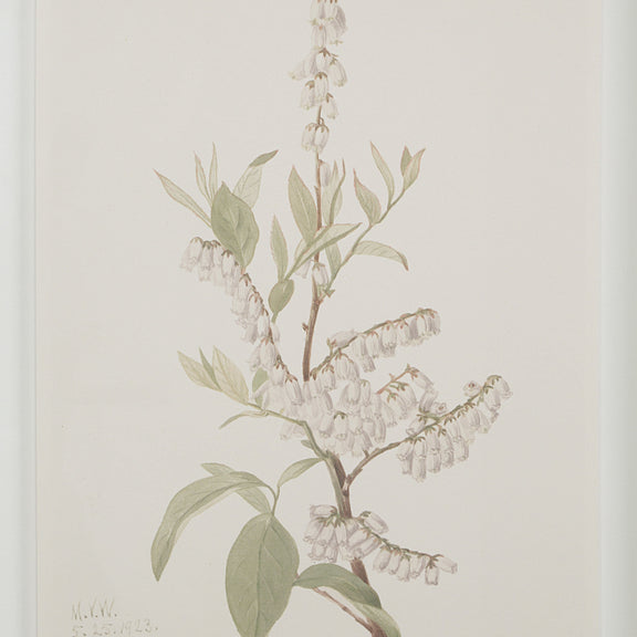 Crema Wall Decor