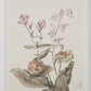Crema Wall Decor