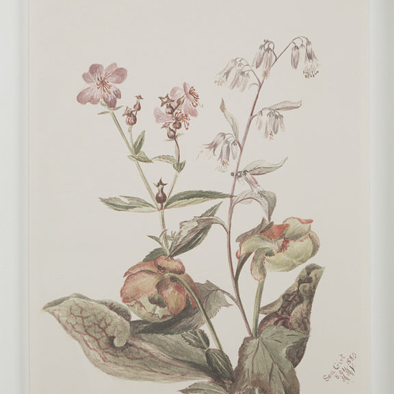 Crema Wall Decor