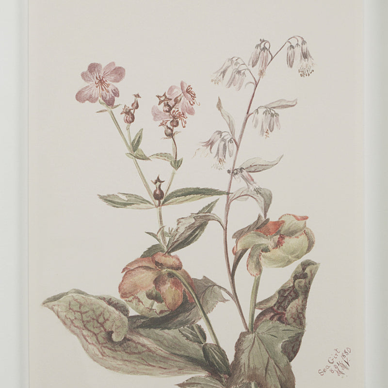 Crema Wall Decor