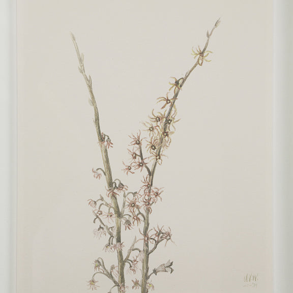 Crema Wall Decor