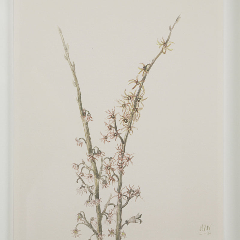 Crema Wall Decor