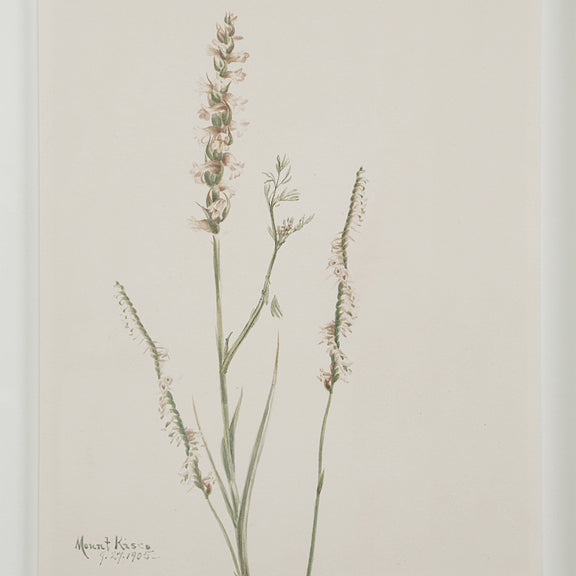 Crema Wall Decor