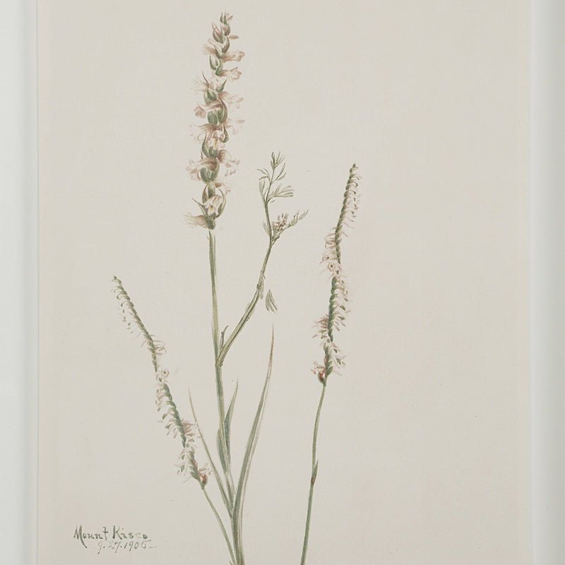 Crema Wall Decor