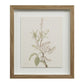 Crema Wall Decor