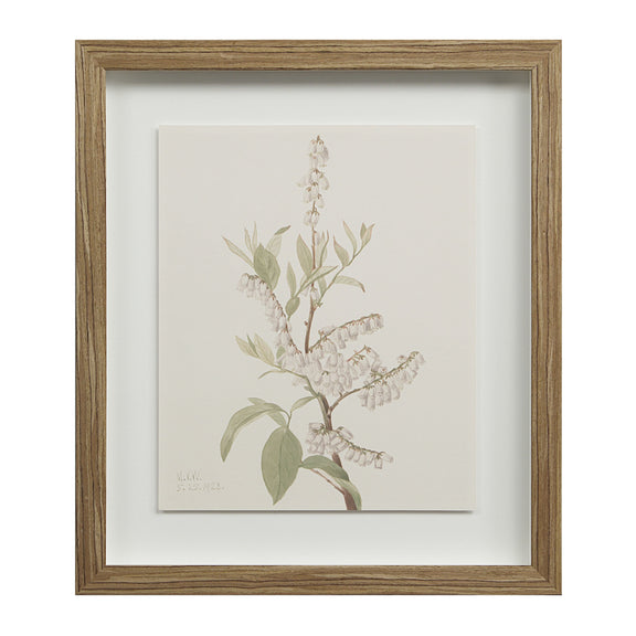 Crema Wall Decor