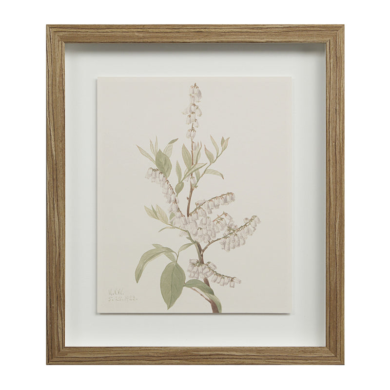 Crema Wall Decor