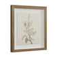 Crema Wall Decor