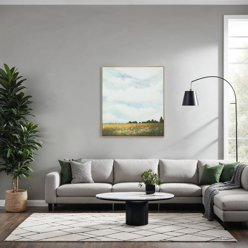Lasso Canvas Art