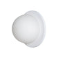 Raquel Wall Wall Sconce