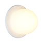 Raquel Wall Wall Sconce